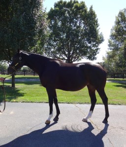 ???????????????????????????????