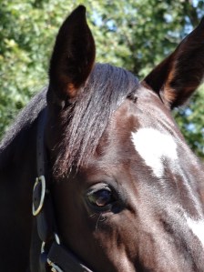 ???????????????????????????????