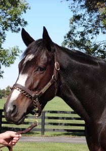 ???????????????????????????????