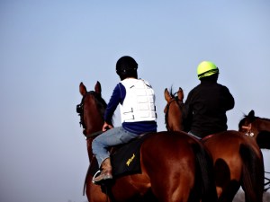 ???????????????????????????????