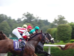 Watching races on the track