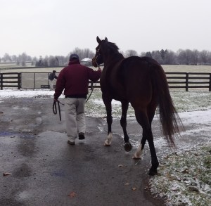 This is near where I first met Rachel in March 2011, right outside the barn