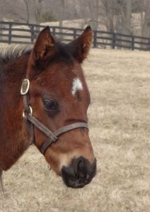 Another recent arrival