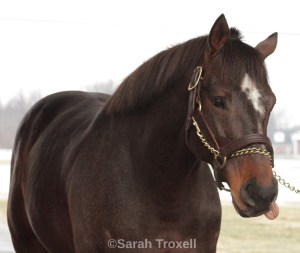 imageedit_2_2320890076