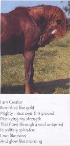 A photo I took and a piece  I wrote after a visit with Creator in 2007