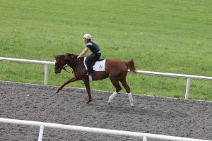 Of course, these are two-year-olds, and while Winstar definitely provides a less hectic setting than a typical track in morning training, there can still be rambunctious antics