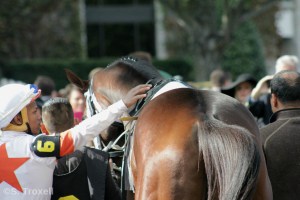 imageedit_101_8110213167