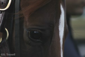 imageedit_103_3287523571