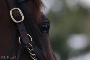 imageedit_105_5336457863