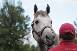 imageedit_21_5952524613