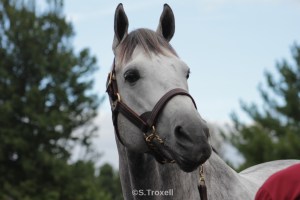 imageedit_23_9406016681