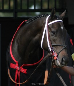 imageedit_63_8200925439