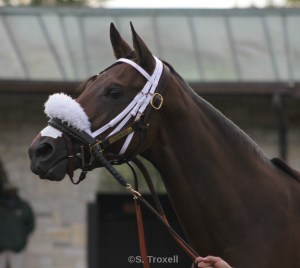 imageedit_67_3592331491