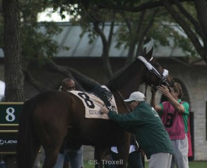 imageedit_69_2406908627