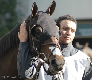 imageedit_71_7133918013