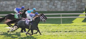 imageedit_73_3322769224