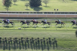 imageedit_75_3237513530