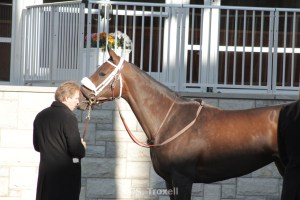 imageedit_77_6713428206