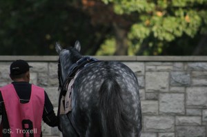 imageedit_85_6617513984