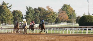 imageedit_87_2780442841