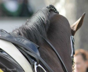 imageedit_99_6627386298