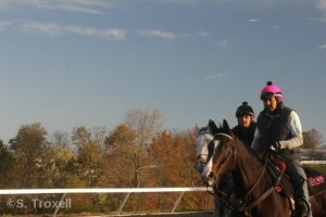 Lava Man accompanies a racehorse to the track (not Land Over Sea)