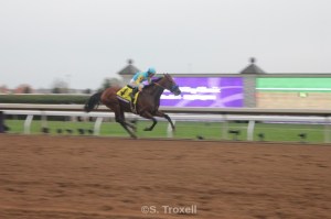 My one somewhat passable photo of Pharoah racing into the history books once more
