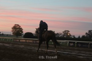 imageedit_3_5192653186