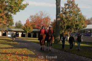 That's it for me until Saturday! A peaceful scene as I leave the track....