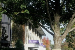 imageedit_7_7701692003