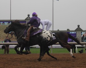 Harley power, as the huge 