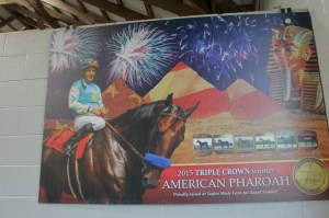 A photo in the barn where Pharoah was raised as a yearling