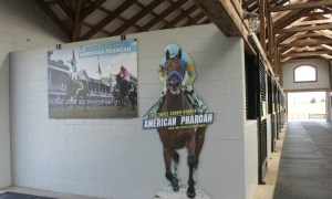 More  photos in the barn where Pharoah was raised as a yearling