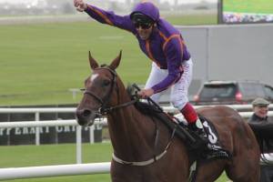 Frankie Dettori and Wicklow Brave upset Order of St. George in the Palmerstown House Estate Irish St. Leger at the Curragh Sept. 11. Order of St. George was described to me as the best miler in the world somewhere along the way, if I remember correctly.