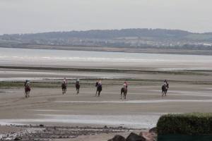 Horses and ocean after the race at Laytown