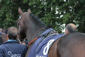 Eventual Irish Champions Stakes winner Almanzor