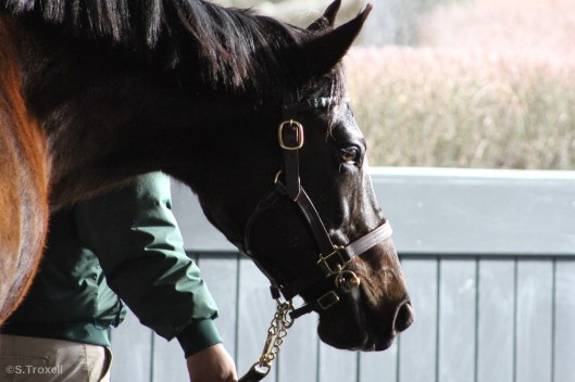 imageedit_1_4142936933