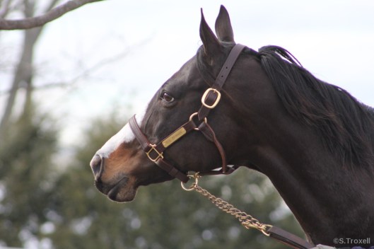 imageedit_3_9061125624