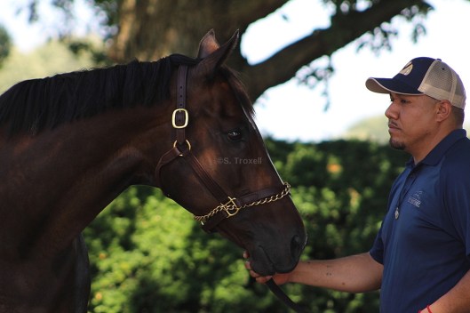 imageedit_1_9181855235