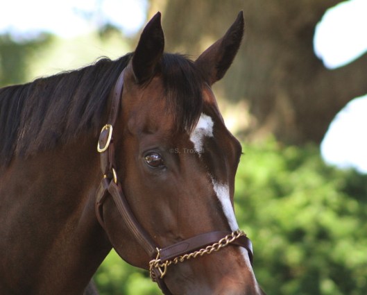 imageedit_3_2602781277